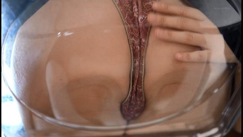 PDVD_024