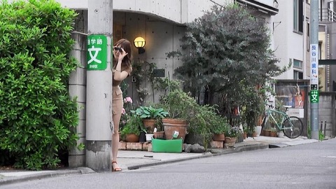 PDVD_336