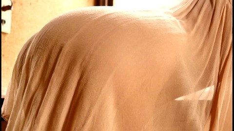 PDVD_771