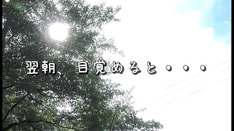 PDVD_1029