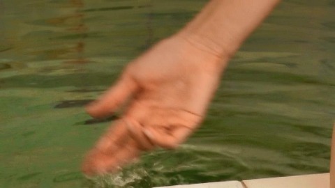 PDVD_533