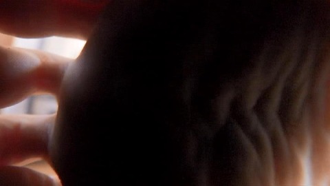 PDVD_1389