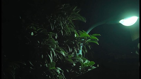 PDVD_015
