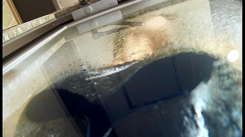 PDVD_546
