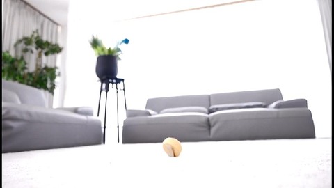 PDVD_204