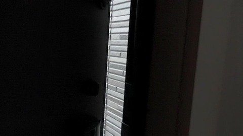PDVD_1262