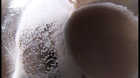 PDVD_539