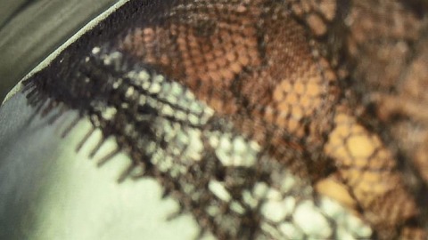 PDVD_550