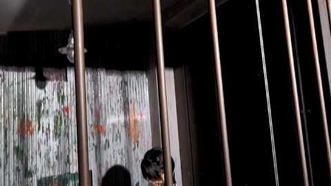 PDVD_816