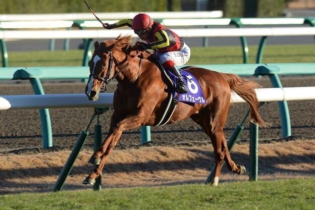 【競馬】最優秀３歳牝馬＆３歳牡馬がカオスな件