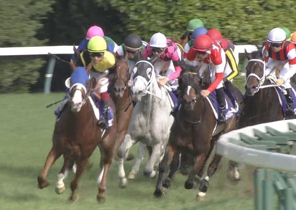 【競馬】サクラザチェンジさん園田で連勝！！に宮島咲良またしても感涙