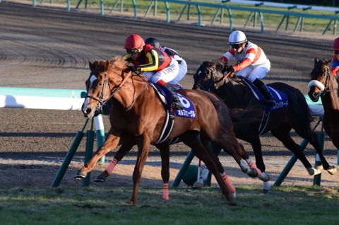 【競馬】キズナ産駒vオルフェ産駒