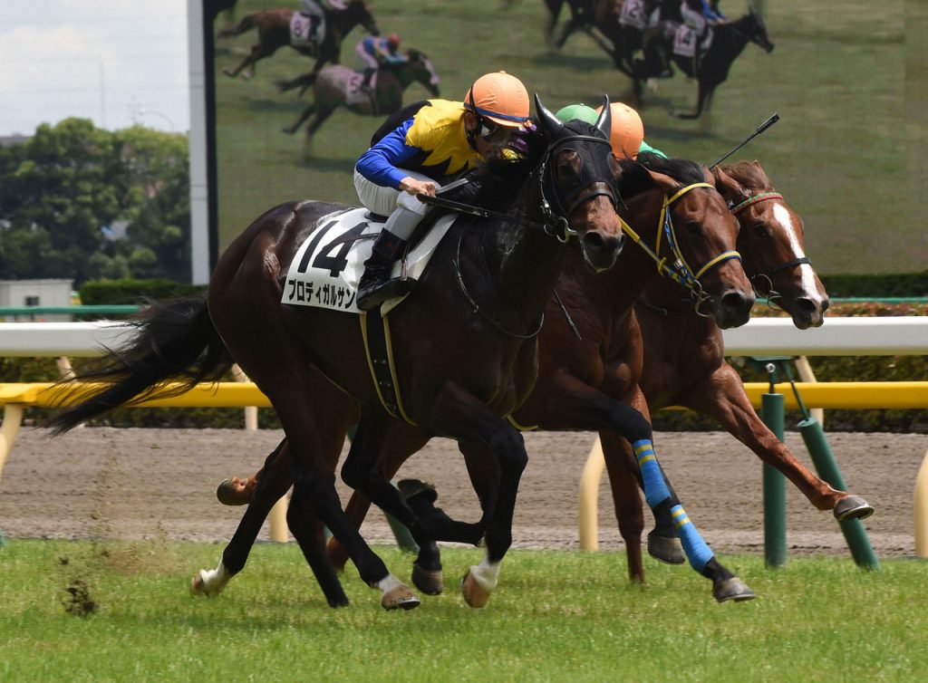 【競馬】2021日本ダービー1番人気候補にレッドベルオーブ急浮上！