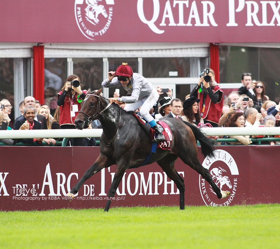 パチンコハック│パチンコ・パチスロ解析攻略まとめサイト【競馬・画像】エネイブル・トレヴ・フランケルなど世界の名馬と日本馬の馬体を比較した結果wwwwwwwwww