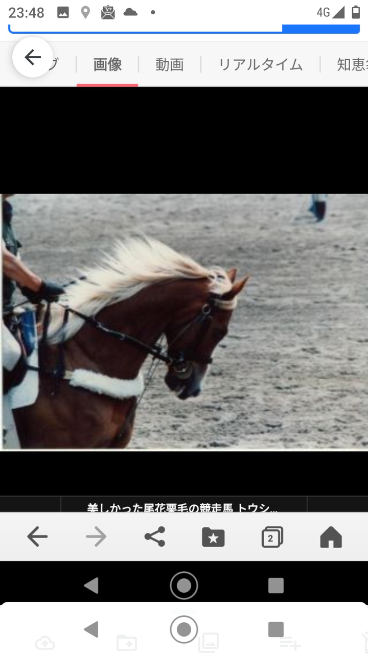 競馬 トウカイテイオー ガチでイケメンすぎるwwwwwwwwwwwwww オルフェンズの仔 競馬ネタ予想まとめ 競馬 トウカイテイオー ガチでイケメンすぎるwwwwwwwwwwwwww オルフェンズの仔 競馬ネタ予想まとめ
