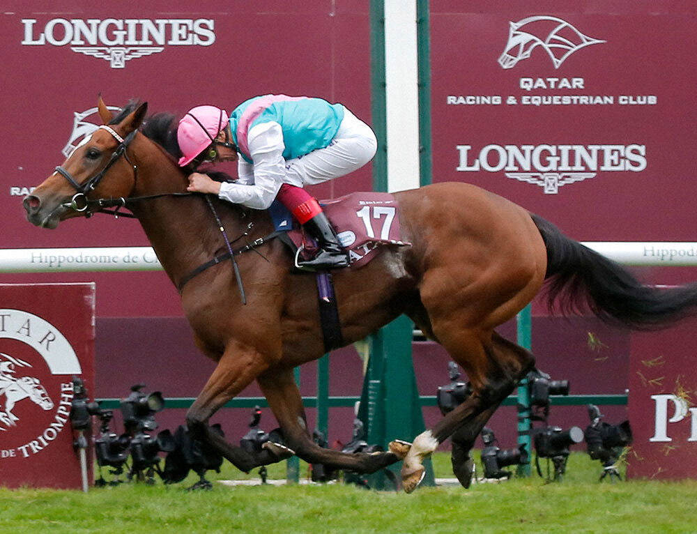オルフェンズの仔~~競馬ネタ予想まとめ