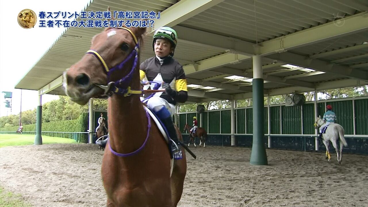 競馬 モズカッチャンに慕われるスマートレイアー姐さんの様子wwwwwwwwwww 競馬まとめちゃんねる