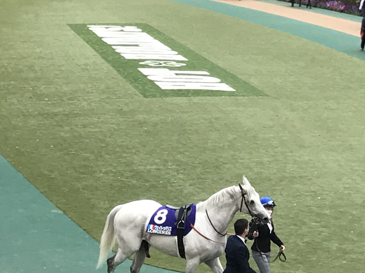 画像 アーモンドアイさん クッソ可愛いwwwwwwwwwwwwww 競馬情報まとめアンテナ