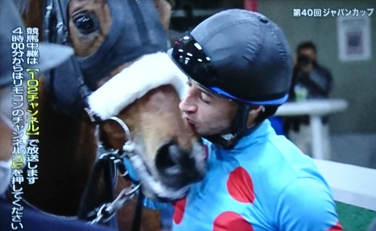 競馬 アーモンドアイの瞳 可愛すぎだろwwwwwwwwwwww 競馬まとめちゃんねる