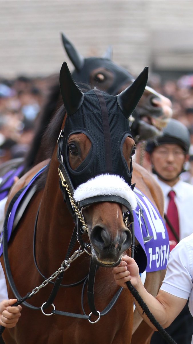 競馬 アーモンドアイの瞳 可愛すぎだろwwwwwwwwwwww 競馬まとめちゃんねる