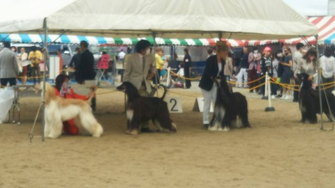 IMG_4219