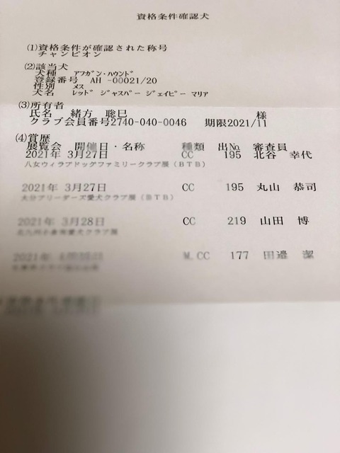 192409049_296790615429897_2528786301989572004_n