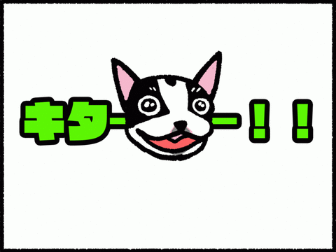 gif02