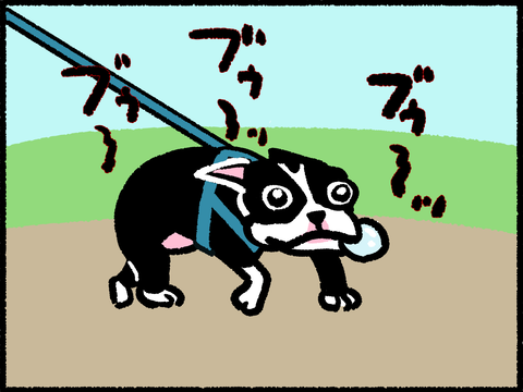 犬が 逆くしゃみ をすると色んな人に見られる ぼ 365 犬が 逆くしゃみ をすると色んな人に見られる ぼ 365