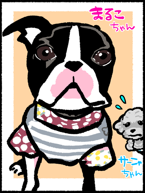 まるこちゃん