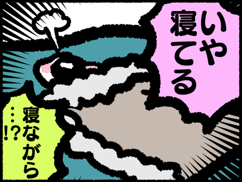 20211026-09