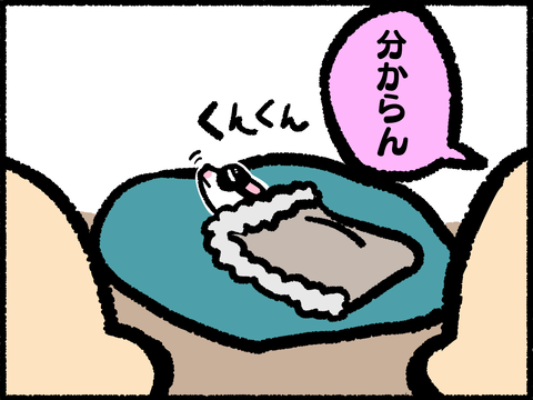 20211026-06