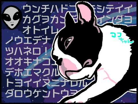 ココちゃん