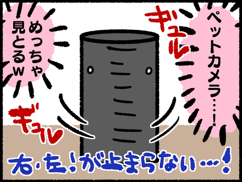20220730-10