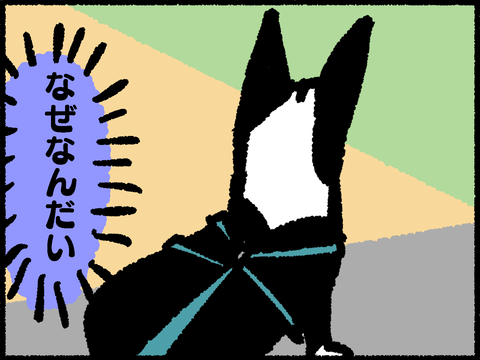 20220902-05