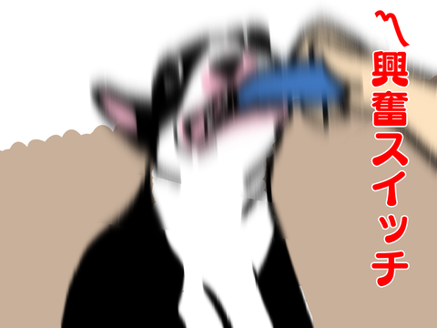 20210820-01