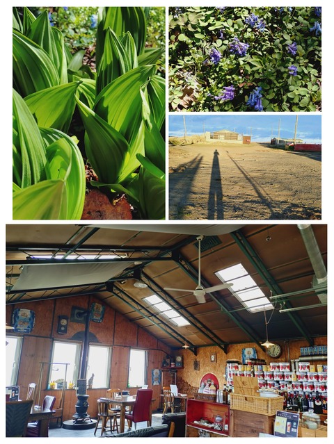 20260429_085944-COLLAGE