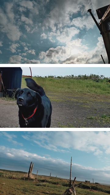 20260609_171333-COLLAGE