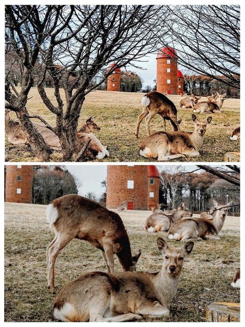 20260406_150647-COLLAGE