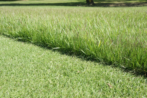 ラフ&ふぁうぇい