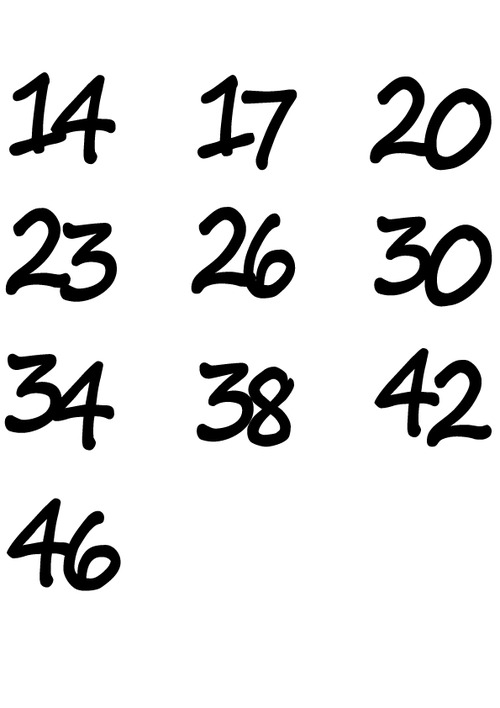 HAYABUSA-IRON-刻印訂正版