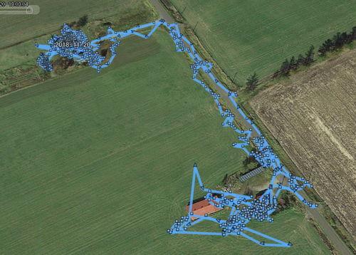 11月20日ヤマトの行動範囲