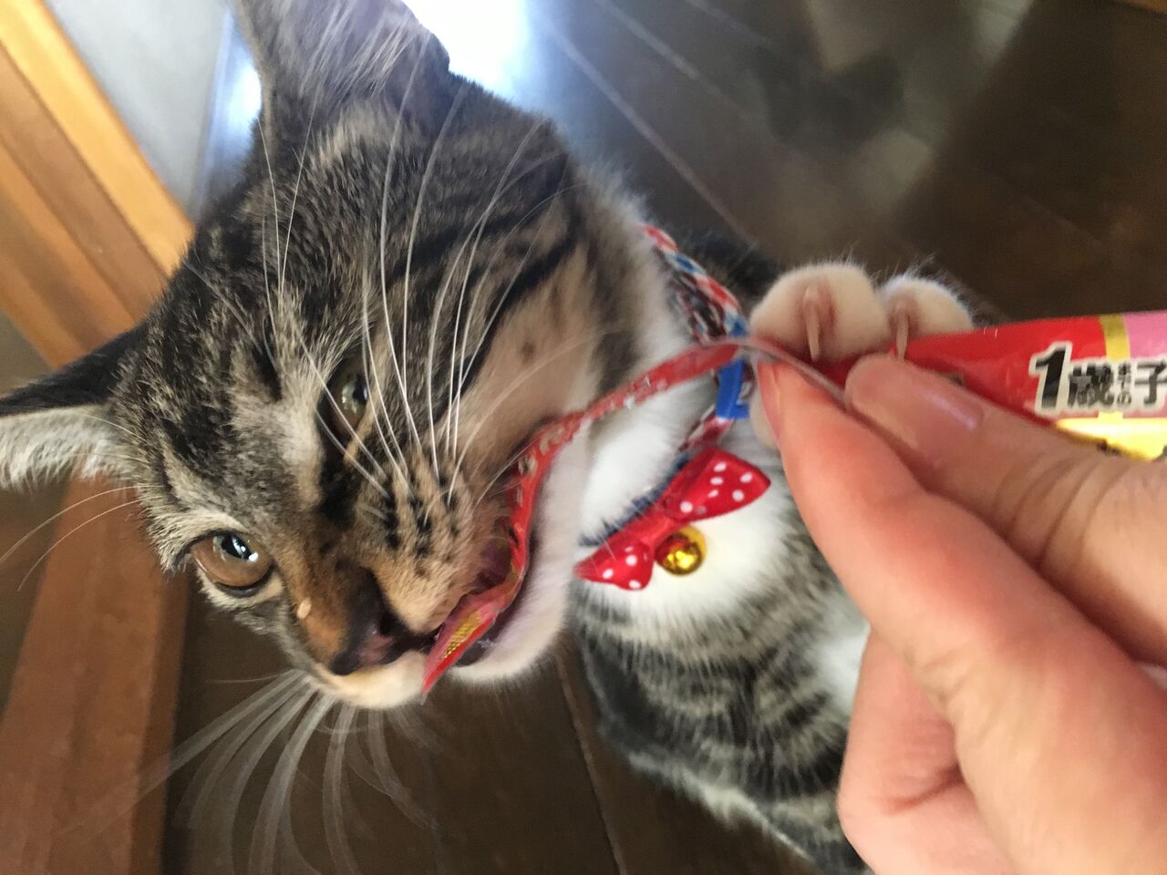 5B13BBDE-B771-4078-A235-5448E83F801E