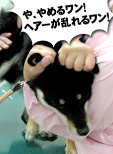 ưʪ�±��ν����Ʈ����