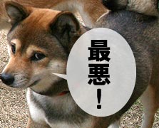 ������ǥ�����