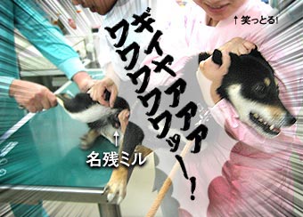 �±����Ԥķ��ϡ����ͤ򵤤ˤ��Ƥ��