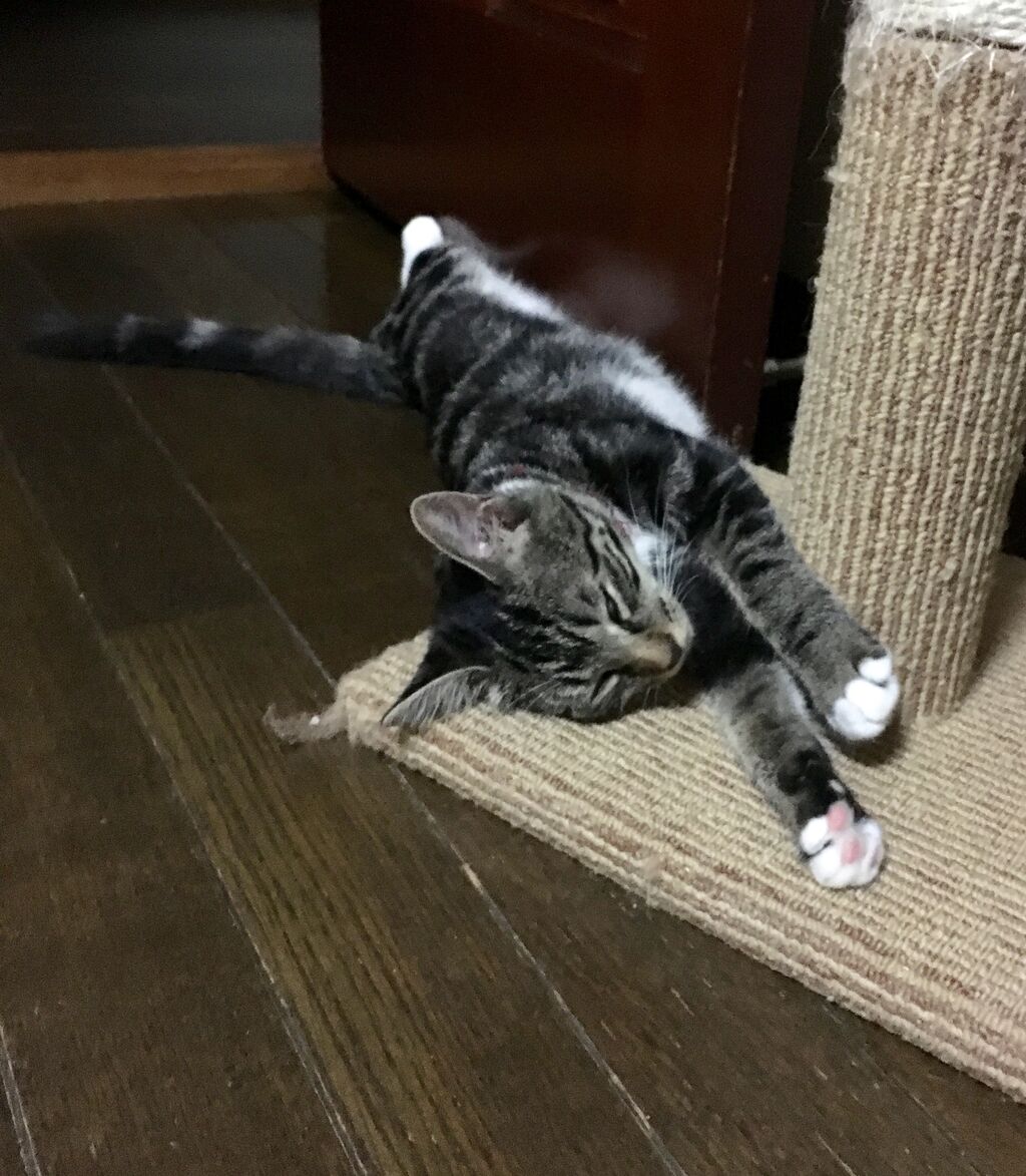 67C2F92D-6B14-409C-89FE-3A3DC8CABA56