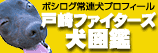 戸崎ファイターズ犬図鑑