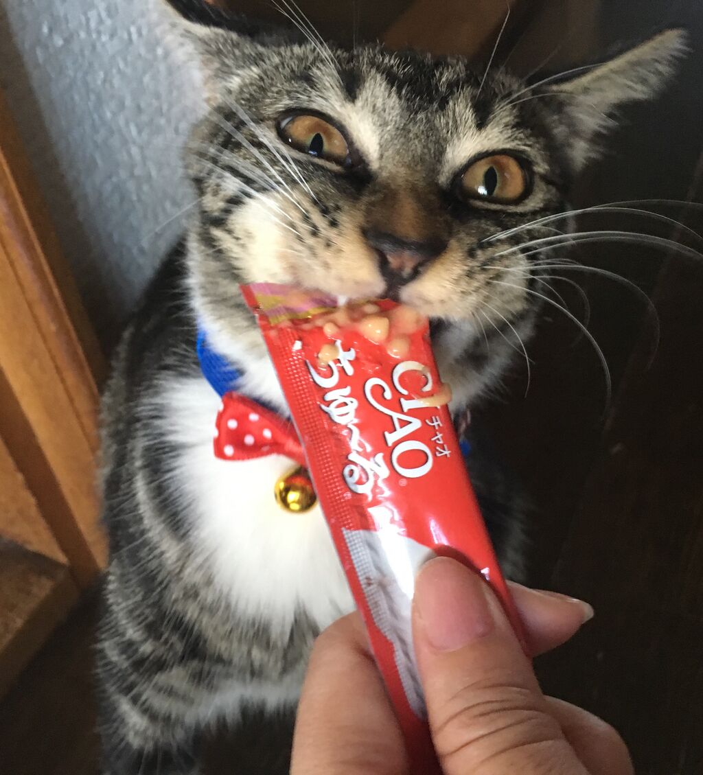 C37B779C-B329-47C2-8B89-5260FF13F12E