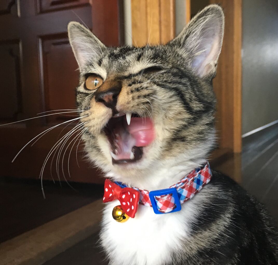 43711171-95FF-4F8A-9199-D6ACF219CE19