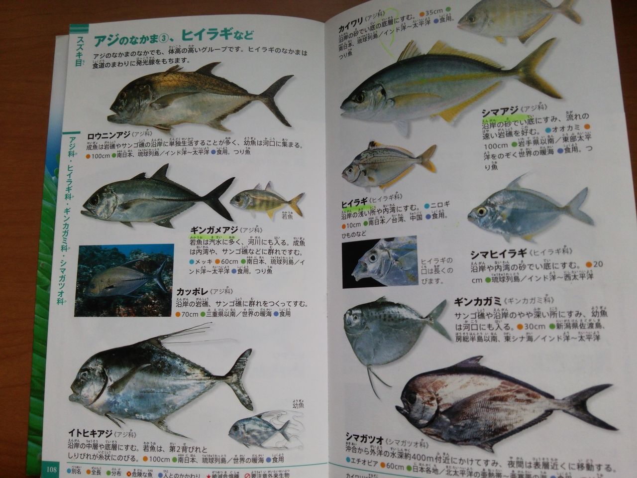 釣り場に図鑑 房総フィッシング 釣り場に図鑑 房総フィッシング